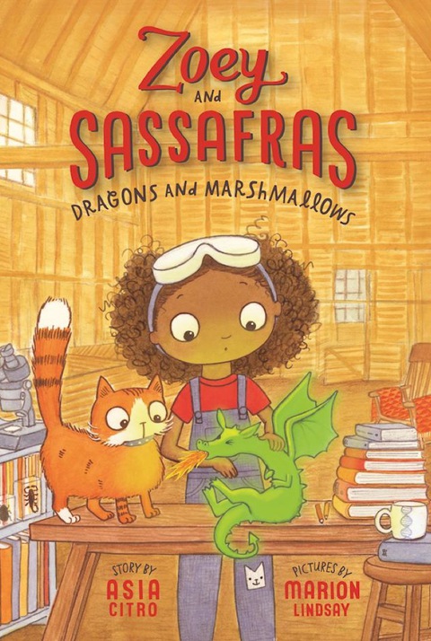 Cover image for book Dragons and Marshmallows