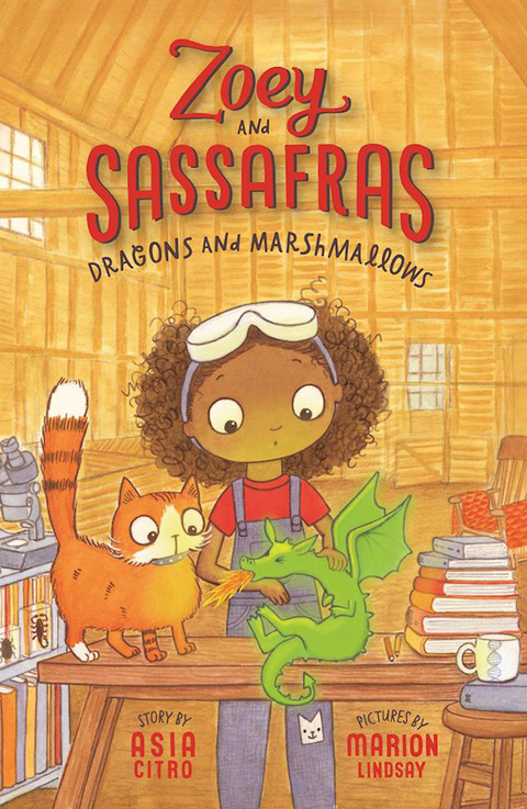 Cover image for book Dragons and Marshmallows
