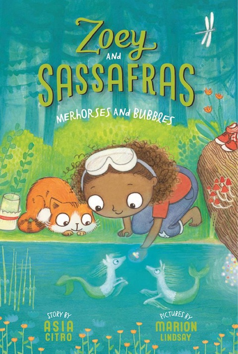 Cover image for book Merhorses and Bubbles