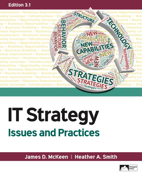 Cover image for book IT Strategy: Issues and Practice