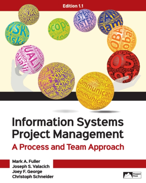 Cover image for book Information Systems Project Management: A Process and Team Approach