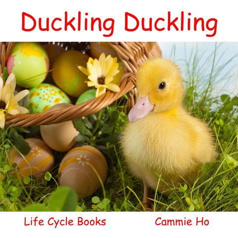 Cover image for book Duckling Duckling