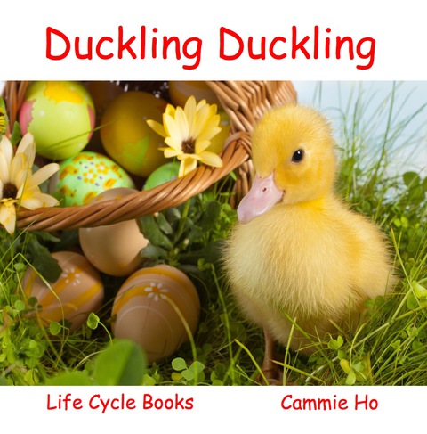 Cover image for book Duckling Duckling