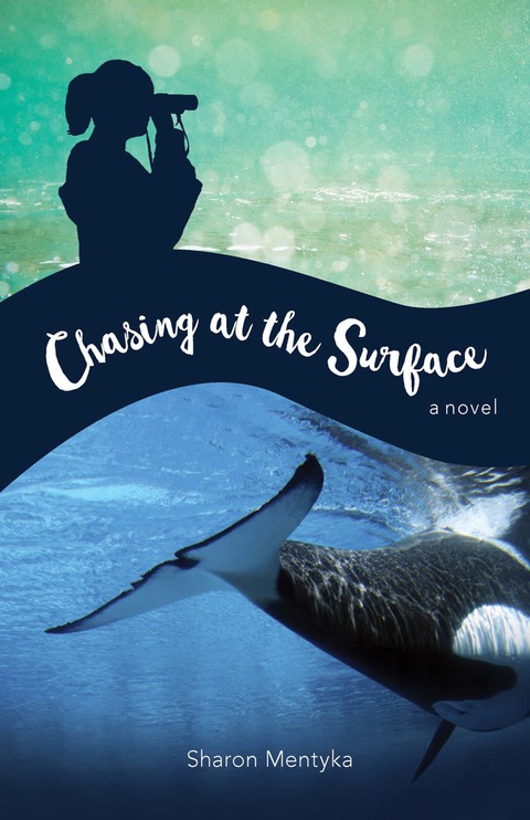 Cover image for book Chasing at the Surface