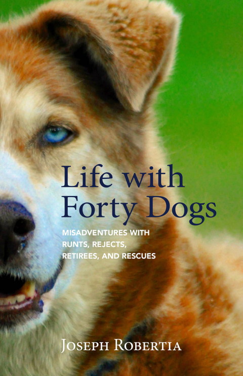 Cover image for book Life with Forty Dogs