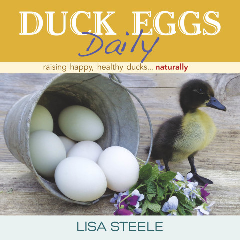 Cover image for book Duck Eggs Daily