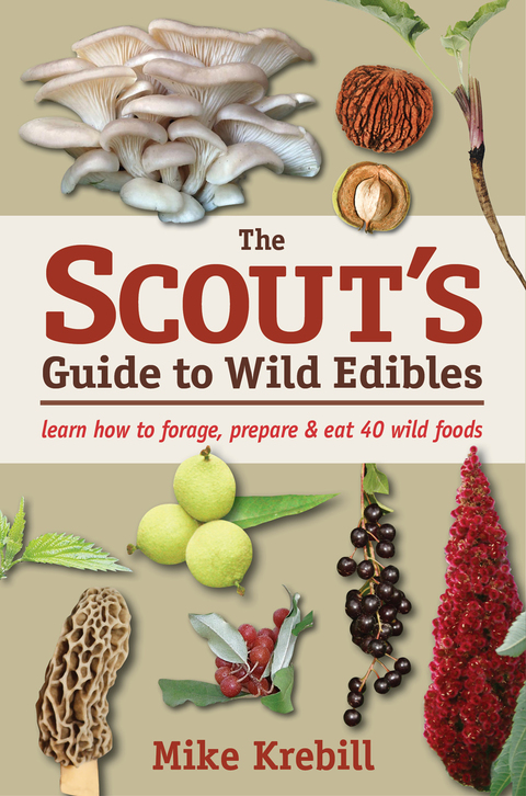 Cover image for book The Scout's Guide to Wild Edibles