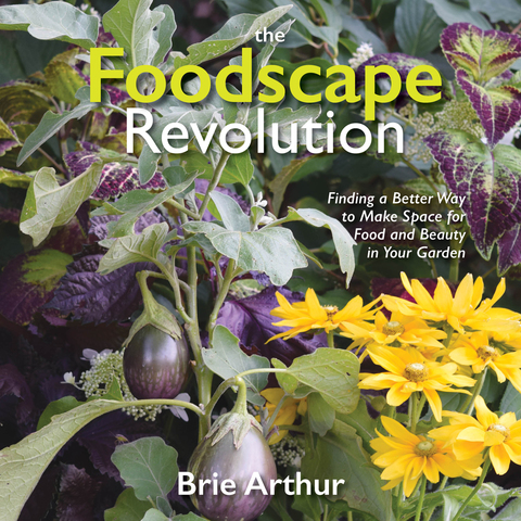 Cover image for book The Foodscape Revolution