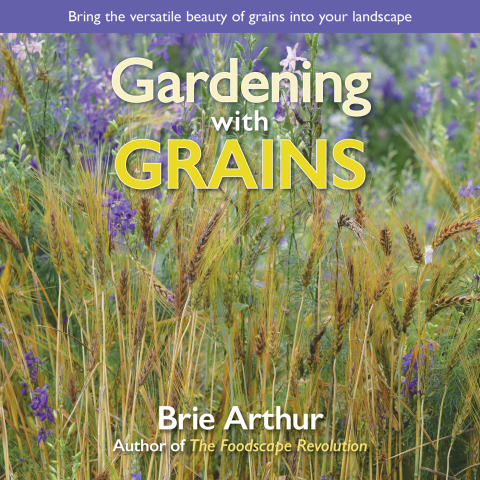 Cover image for book Gardening with Grains