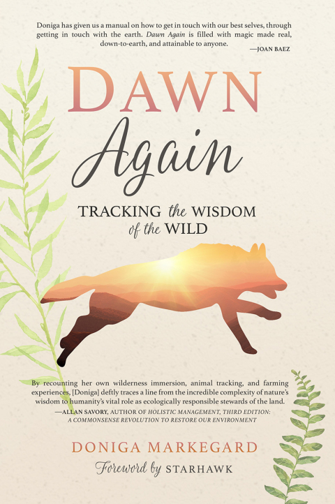 Cover image for book Dawn Again