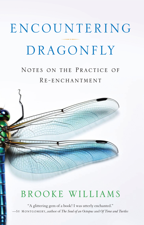 Cover image for book Encountering Dragonfly