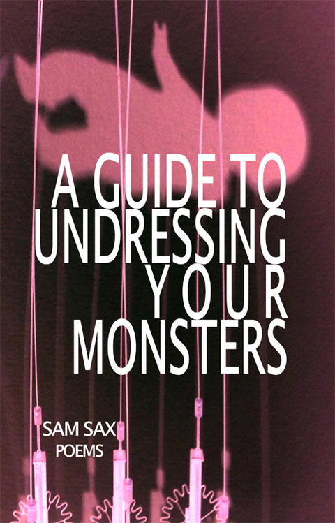 Cover image for book A Guide to Undressing Your Monsters