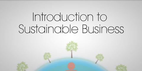 Cover image for book Introduction to Sustainable Business: How Implementing Sustainability can Increase Business Value