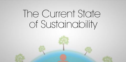 Cover image for book The Current State of Sustainability: Connect Business Opportunities to the Greater Social, Environmental and Economic issues of Today