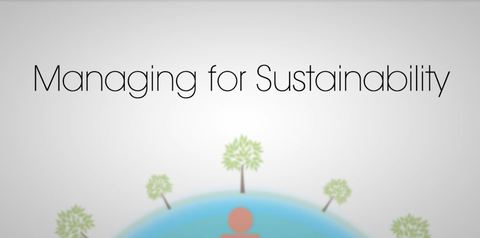 Cover image for book Managing for Sustainability: How to Measure, Manage and Effectively Communicate Sustainability Efforts