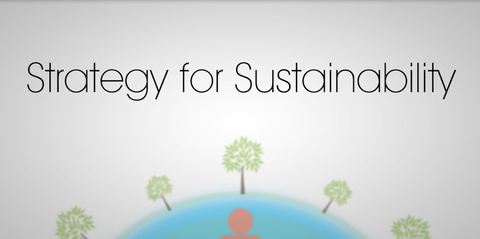 Cover image for book Strategy for Sustainability: Increase profitability, reduce risk and drive innovation - all while improving social and environmental performance at the same time