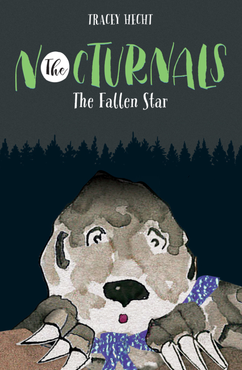 Cover image for book The Fallen Star