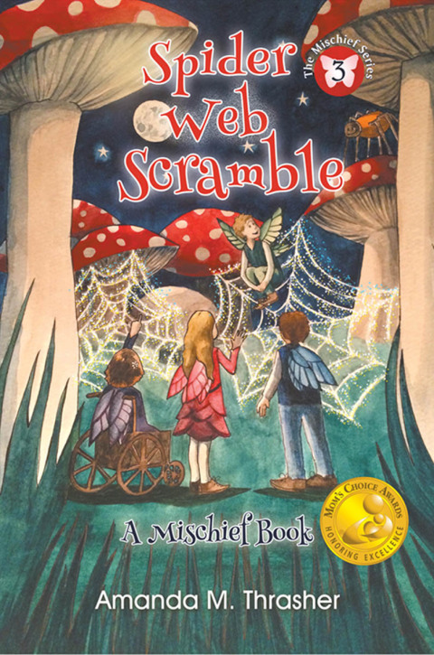Cover image for book Spider Web Scramble