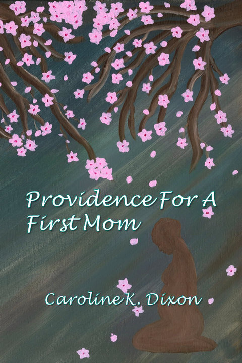 Cover image for book Providence For a First Mom