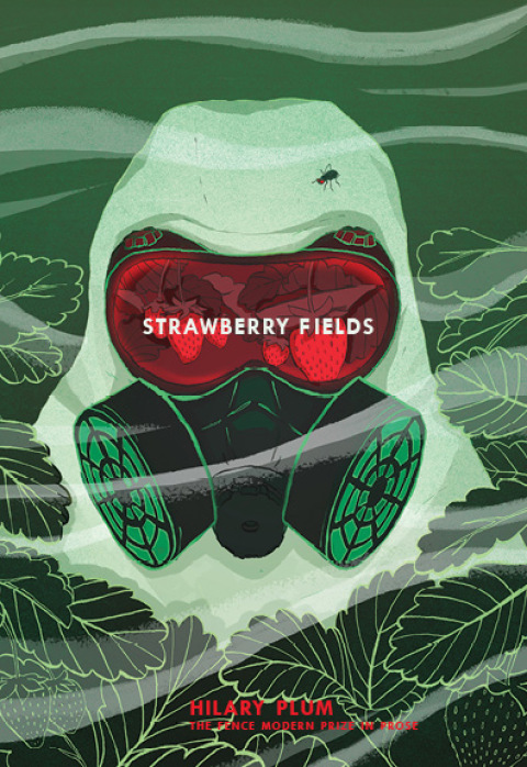 Cover image for book Strawberry Fields