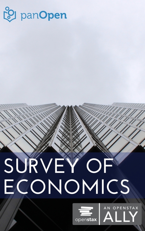 Survey of Economics 