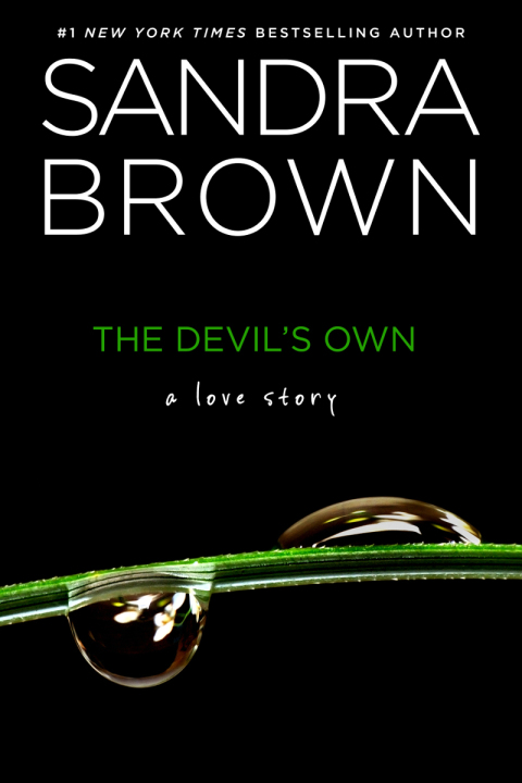 Cover image for book The Devil's Own