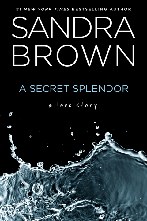 Cover image for book A Secret Splendor