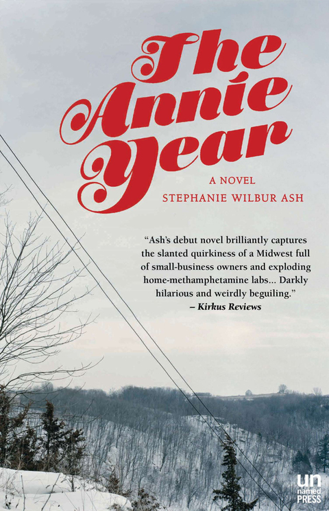 Cover image for book The Annie Year