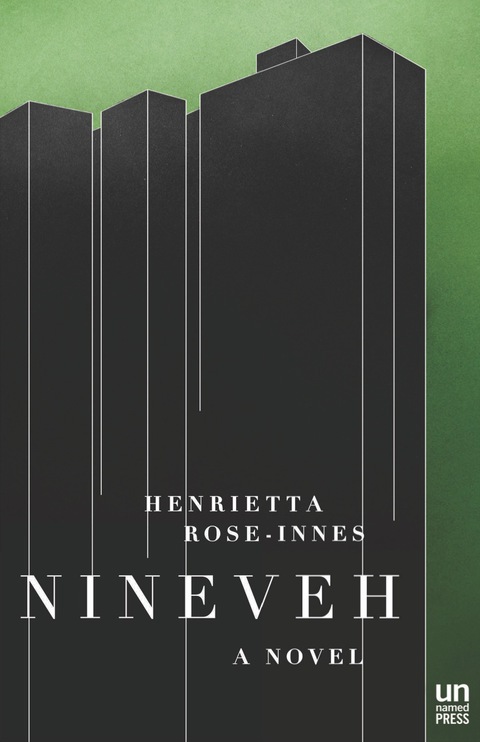 Cover image for book Nineveh