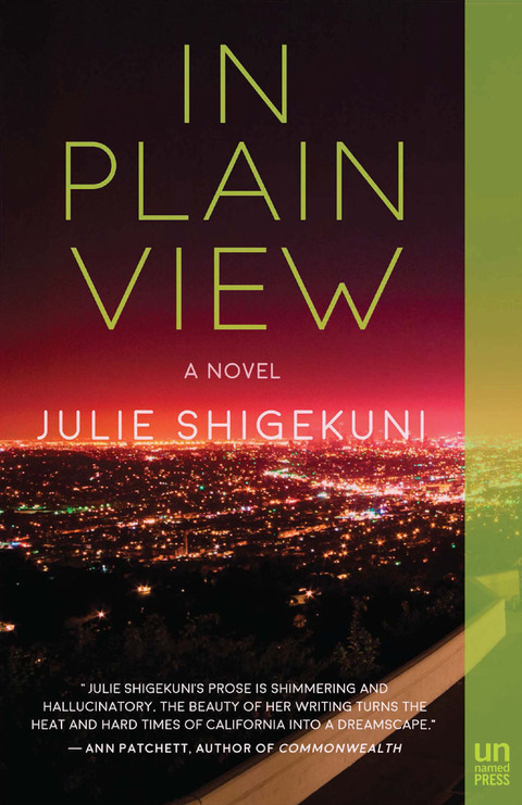 Cover image for book In Plain View