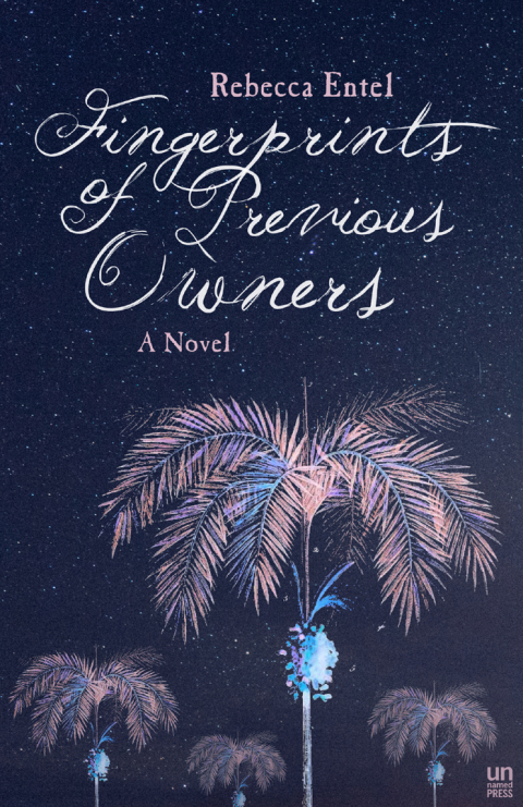 Cover image for book Fingerprints of Previous Owners