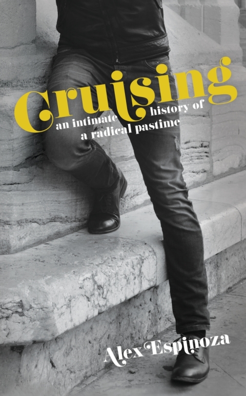 Cover image for book Cruising