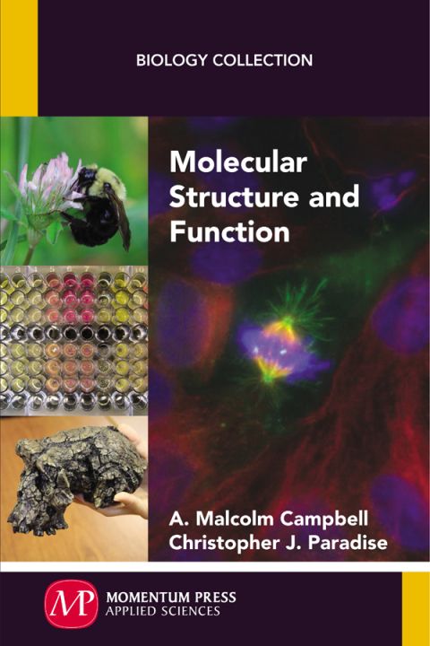 Cover image for book Molecular Structure and Function