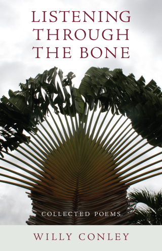 Listening through the Bone