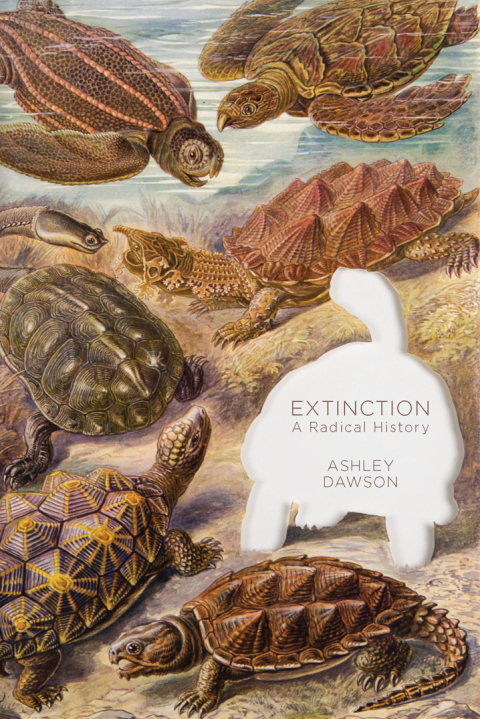 Cover image for book Extinction