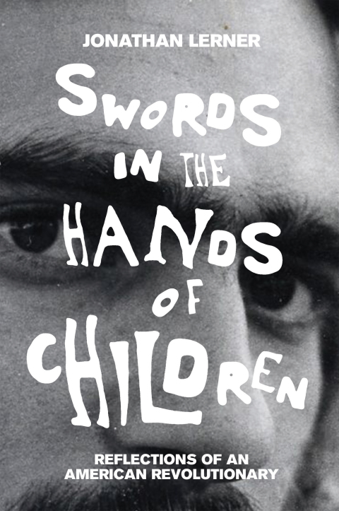 Cover image for book Swords in the Hands of Children