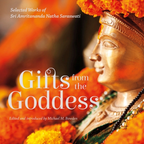 Cover image for book Gifts from the Goddess