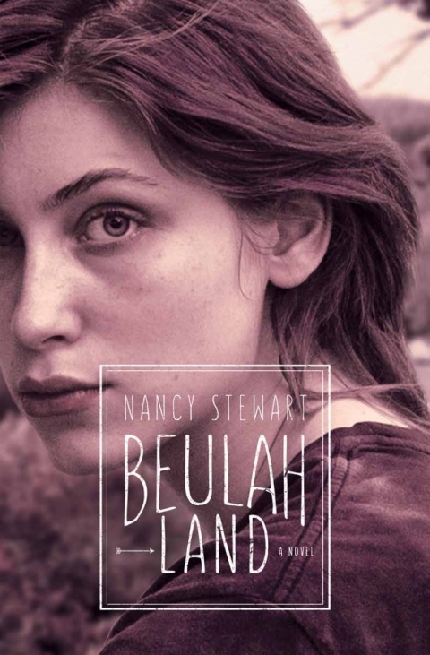 Cover image for book Beulah Land