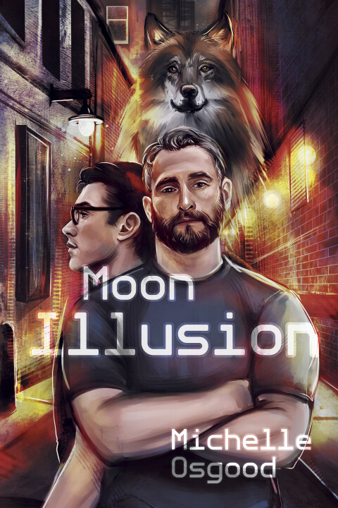 Cover image for book Moon illusion