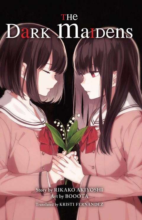 Cover image for book The Dark Maidens