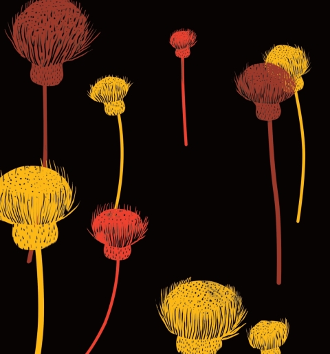Cover image for book Story of the Everything, the Nothing, and Other Strange Stories