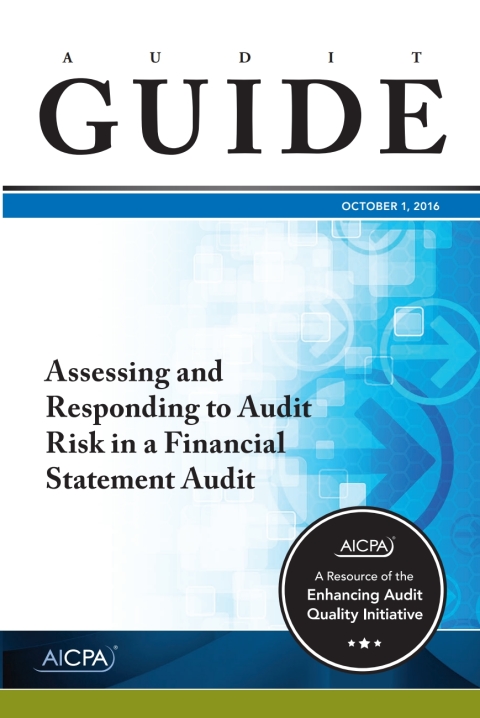 Cover image for book Audit Guide Assessing and Responding to Audit Risk in a Financial Statement Audit