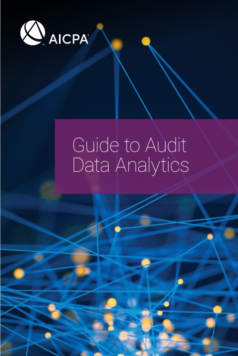Cover image for book Guide to Audit Data Analytics