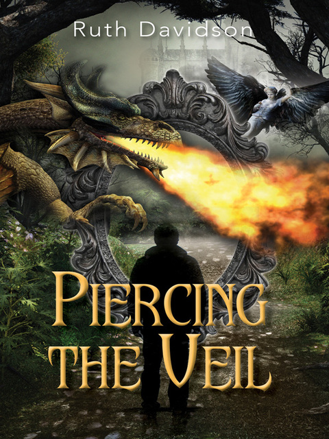 Cover image for book Piercing the Veil