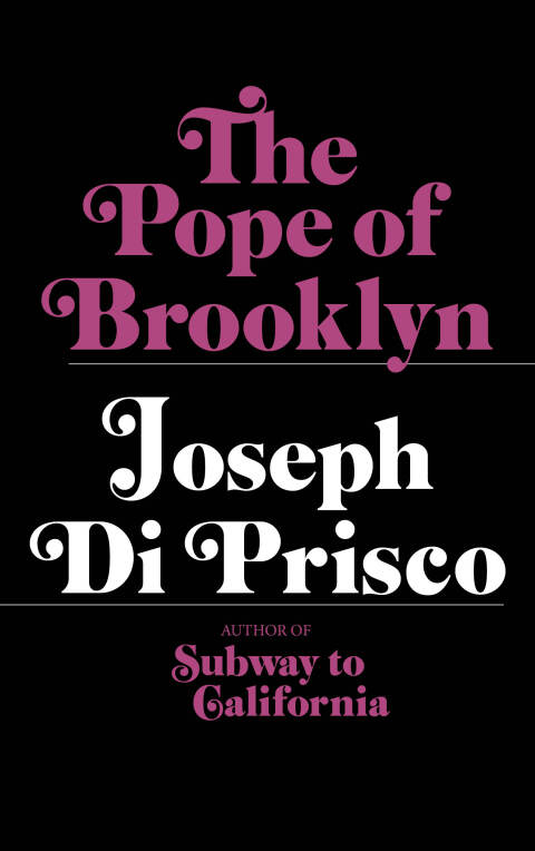 Cover image for book The Pope of Brooklyn