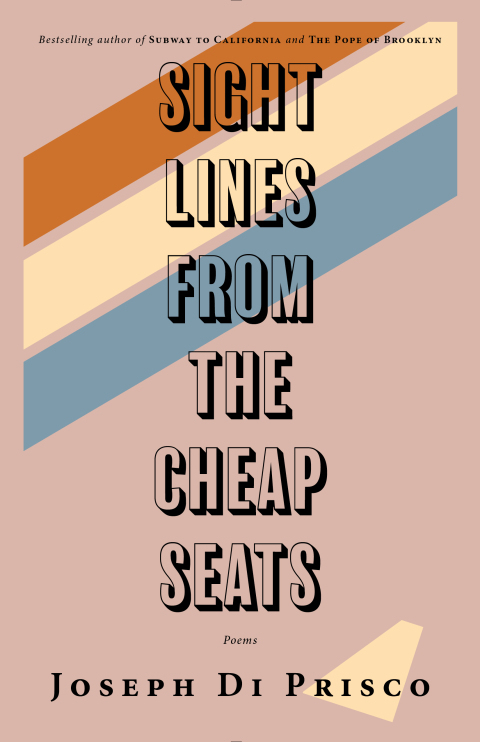 Cover image for book Sightlines from the Cheap Seats