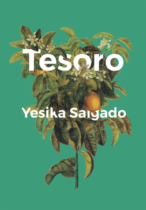 Cover image for book Tesoro