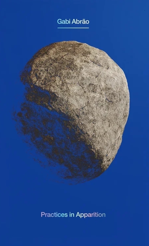 Cover image for book Practices in Apparition