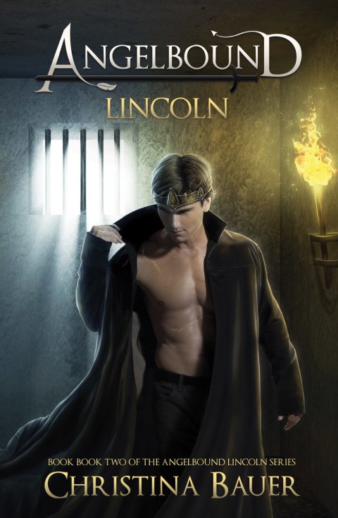 Cover image for book Lincoln