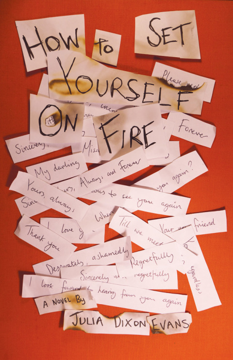 Cover image for book How to Set Yourself on Fire